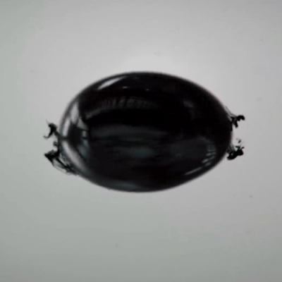 周年(nián)慶典——民(mín)生(shēng)加銀(yín)十周年(nián)